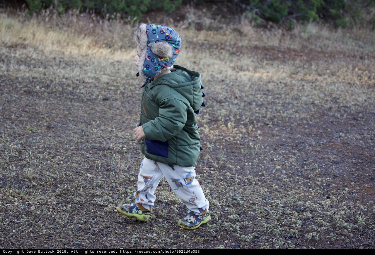 Little Explorer Trekking Through Mt. Diablo Wilderness
