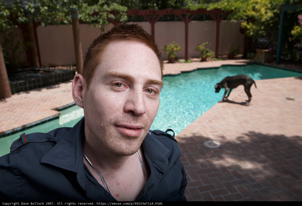 Man and Dog Enjoying Sunny Day by the Pool