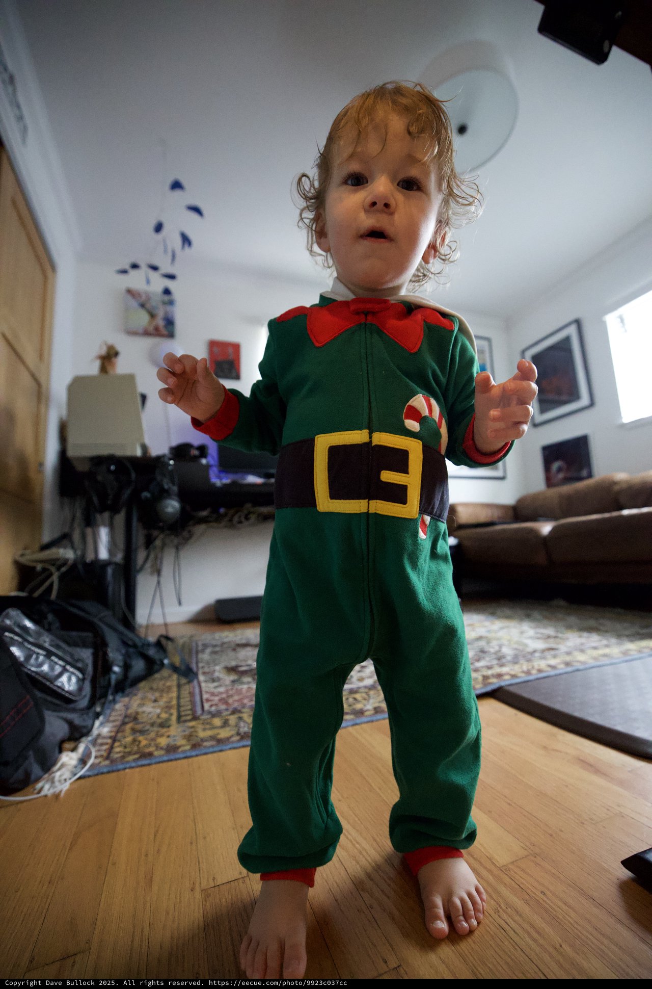 Toddler in Festive Elf Costume at Home