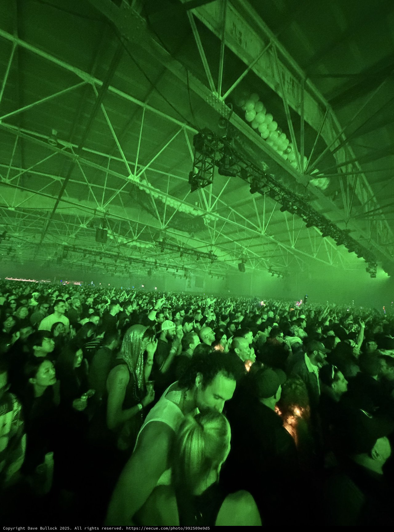 Green-Lit Crowd at Electronic Music Concert