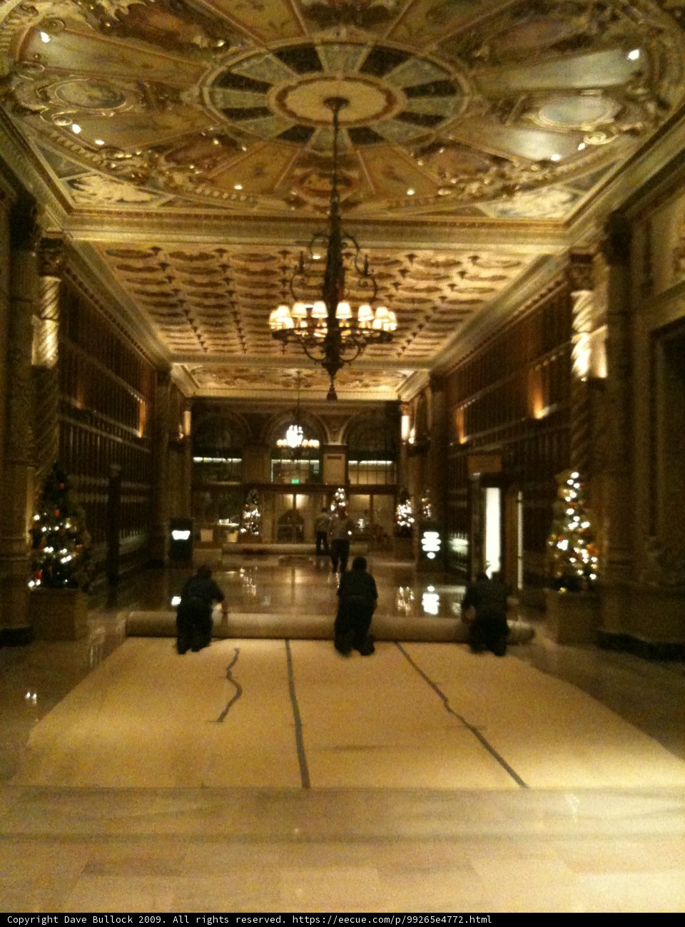Illuminating Elegance