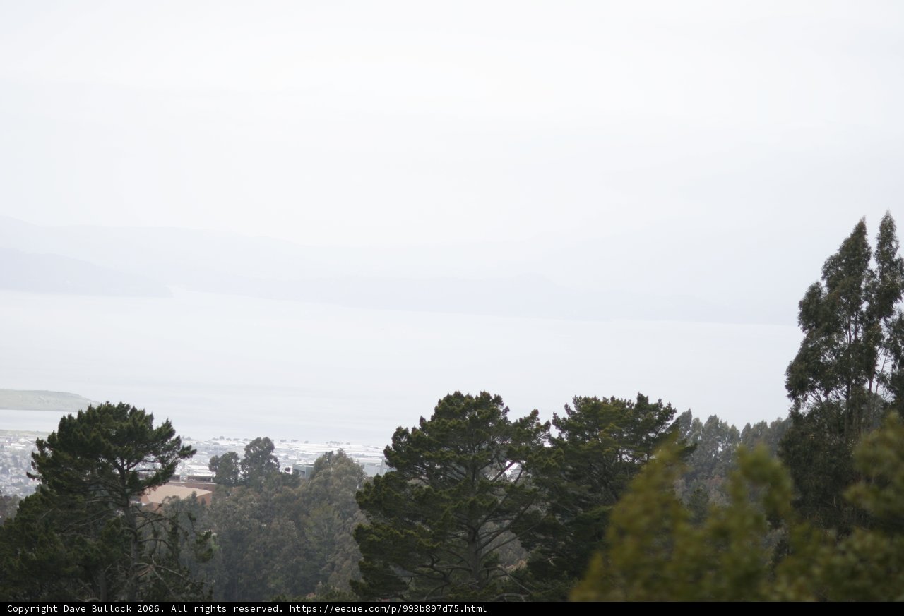 Majestic Ocean View from Hilltop