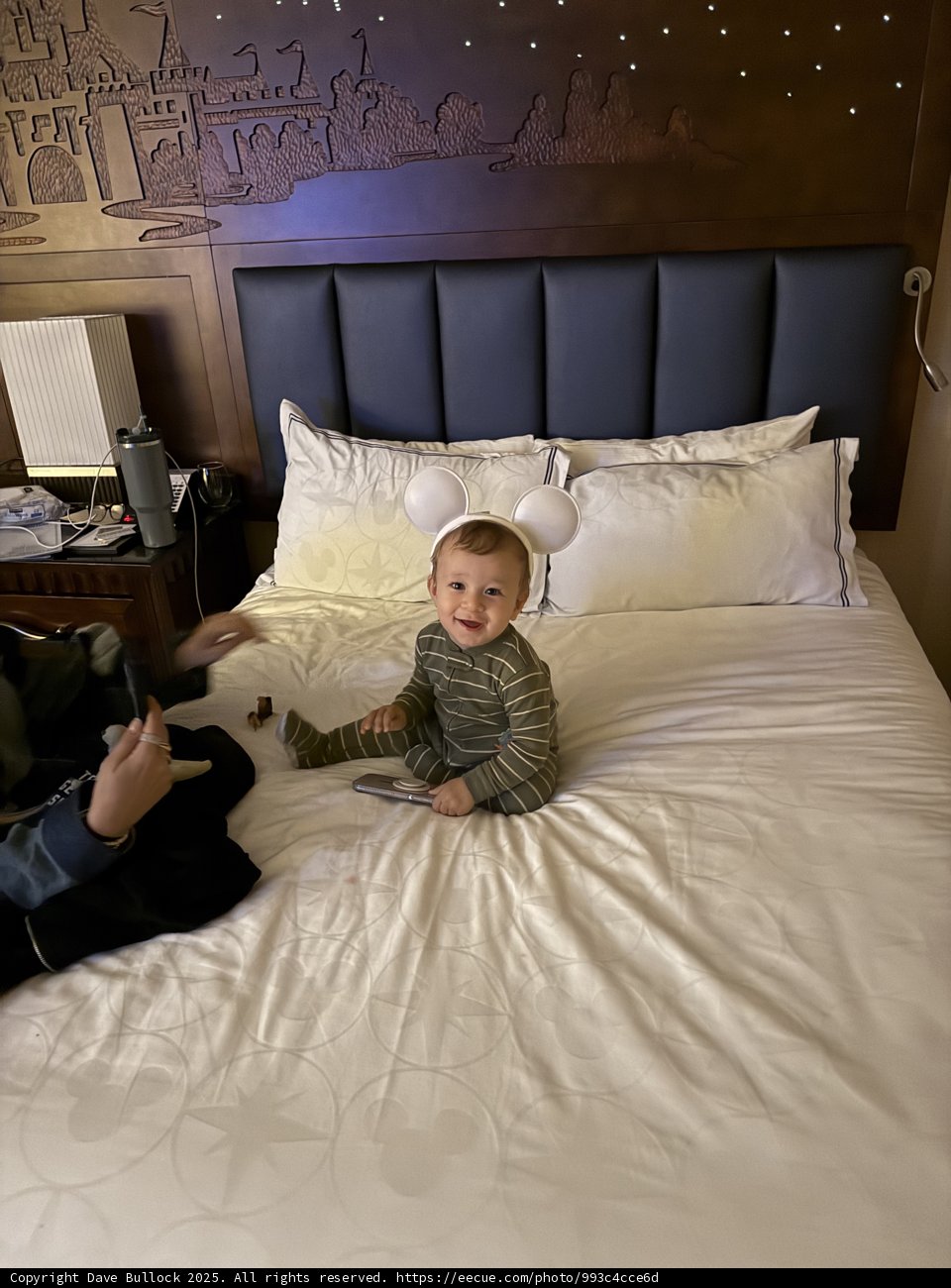 Bedtime Magic at Disneyland Hotel