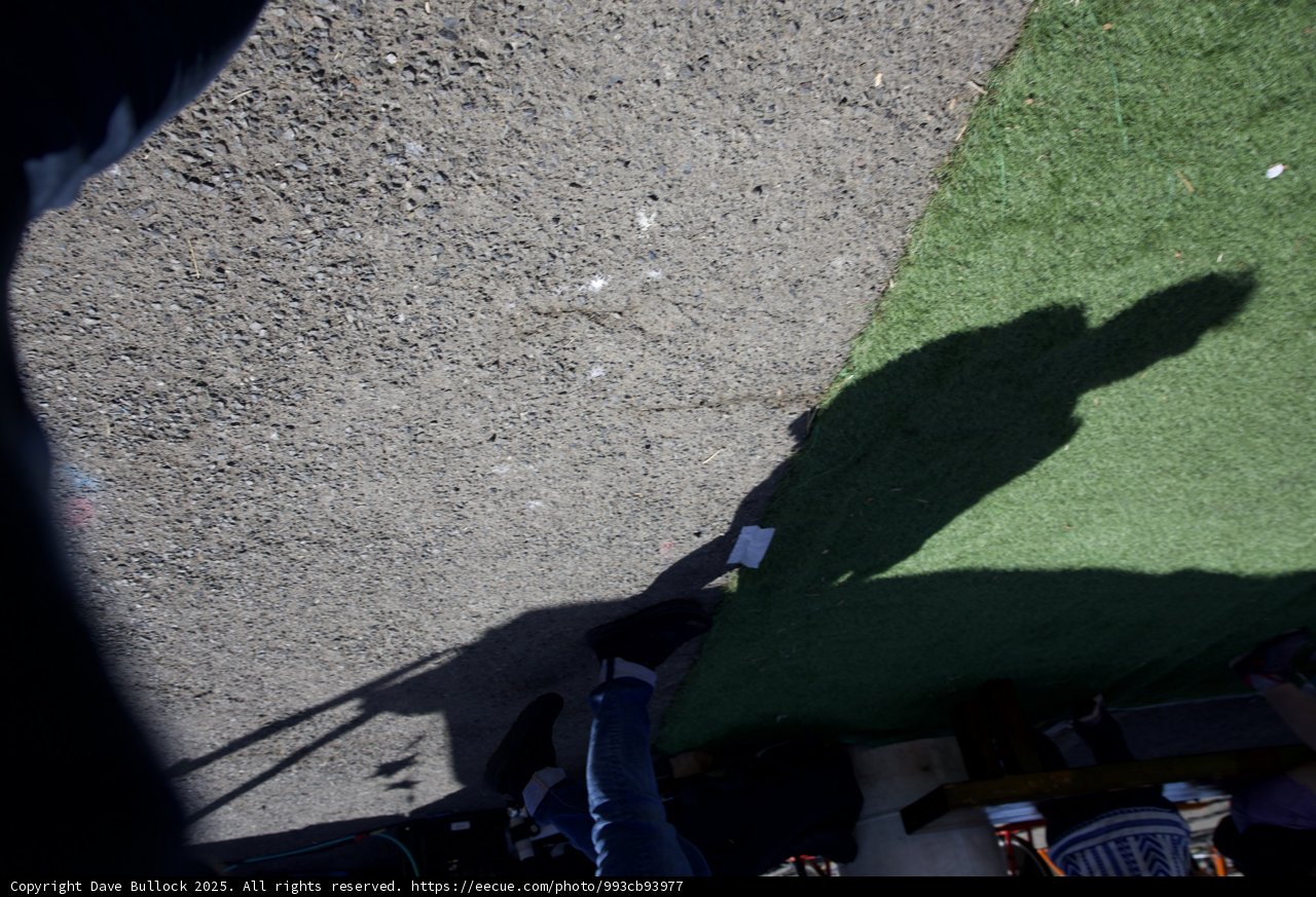 Shadows of Team Spirit