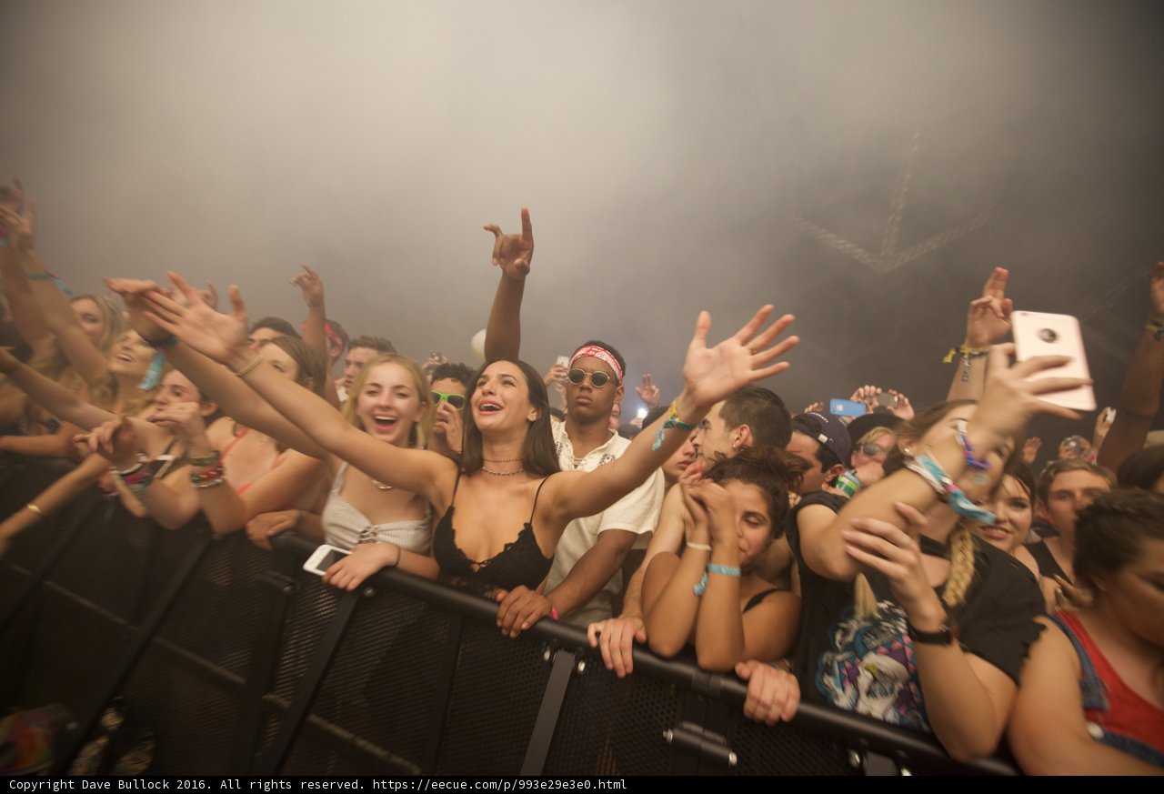 Music Festival Madness