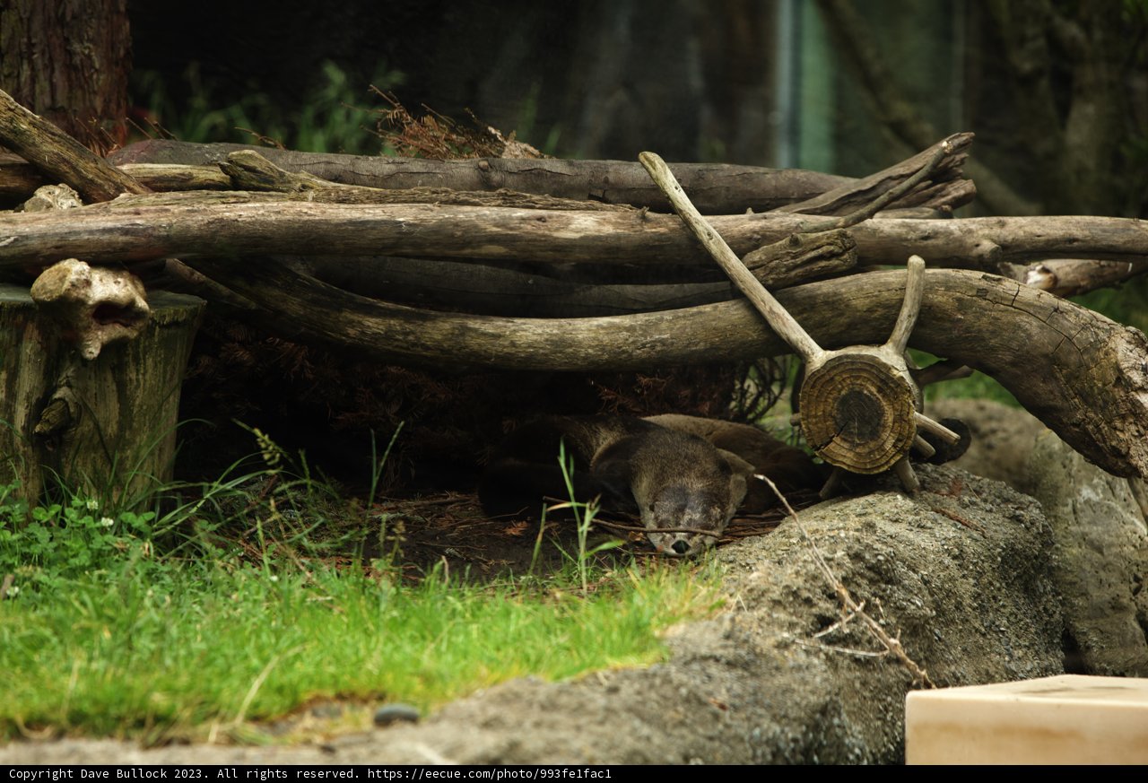 A Day with the Wildlife at Oakland Zoo, 2023
