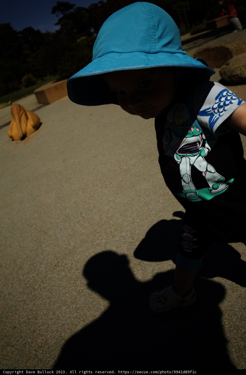Baby in Blue: A Day at Golden Gate Park