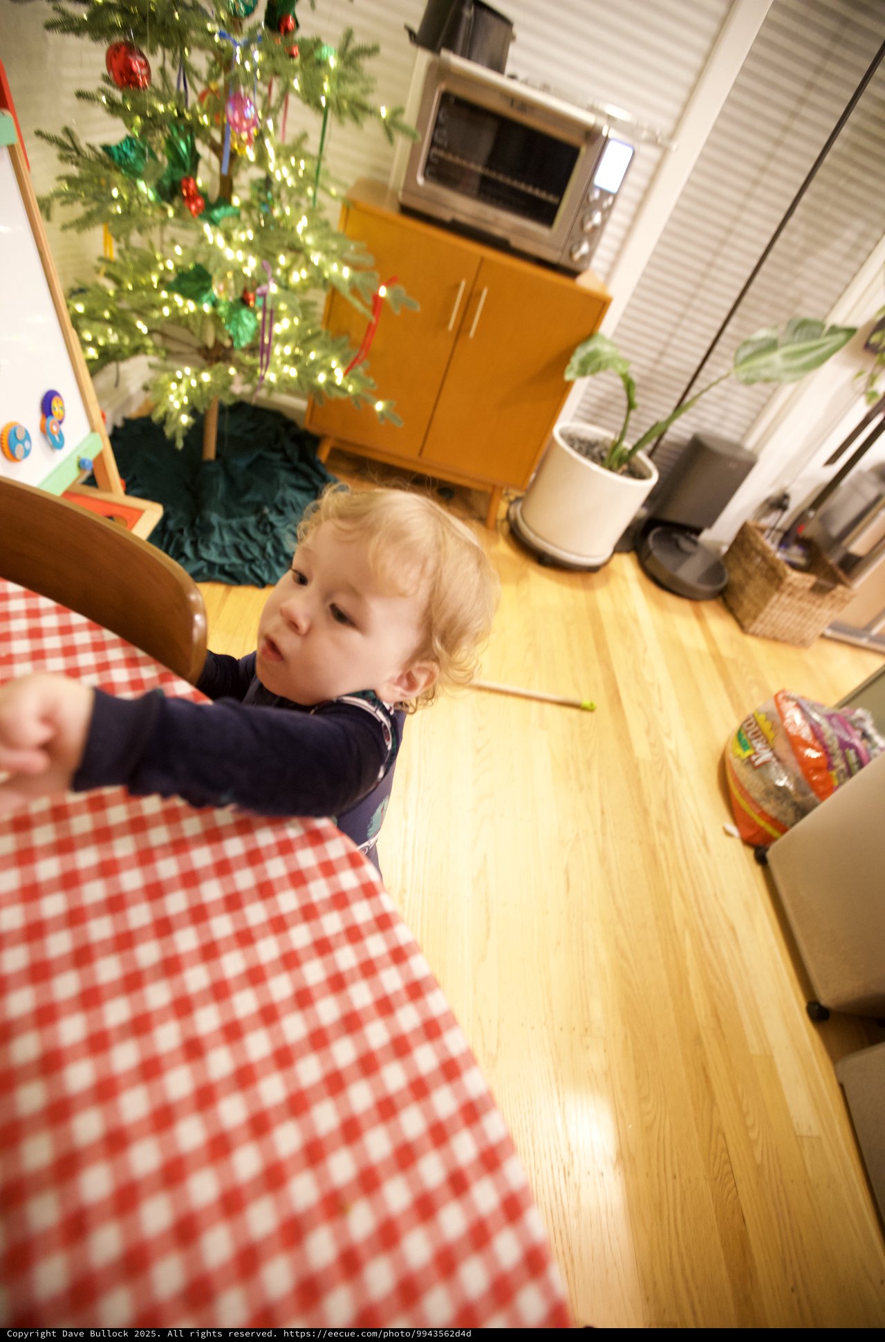 Curious Toddler Reaching at Christmas Kitchen Table