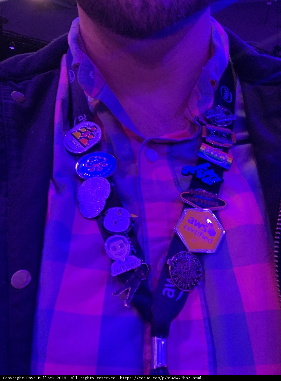 The Badge Collector