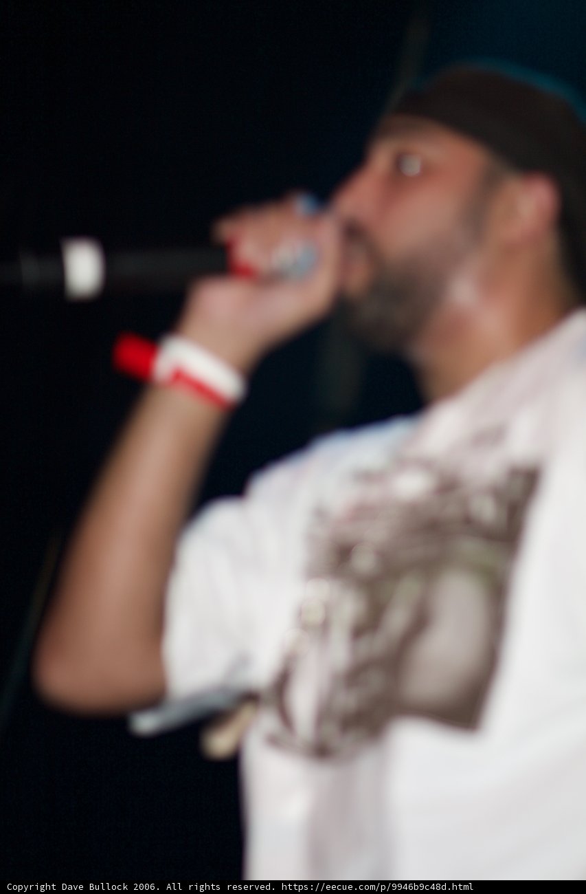 Solo Mic Performance