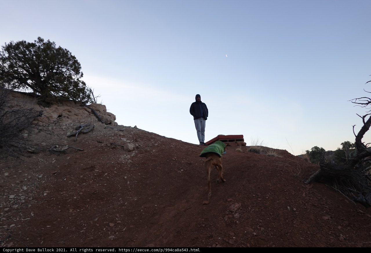 A Man and His Canine Companion Trekking on Scenic Trails