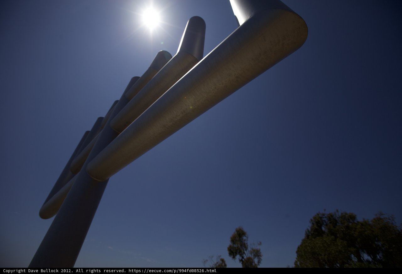 Menorah Basking in Sunlight