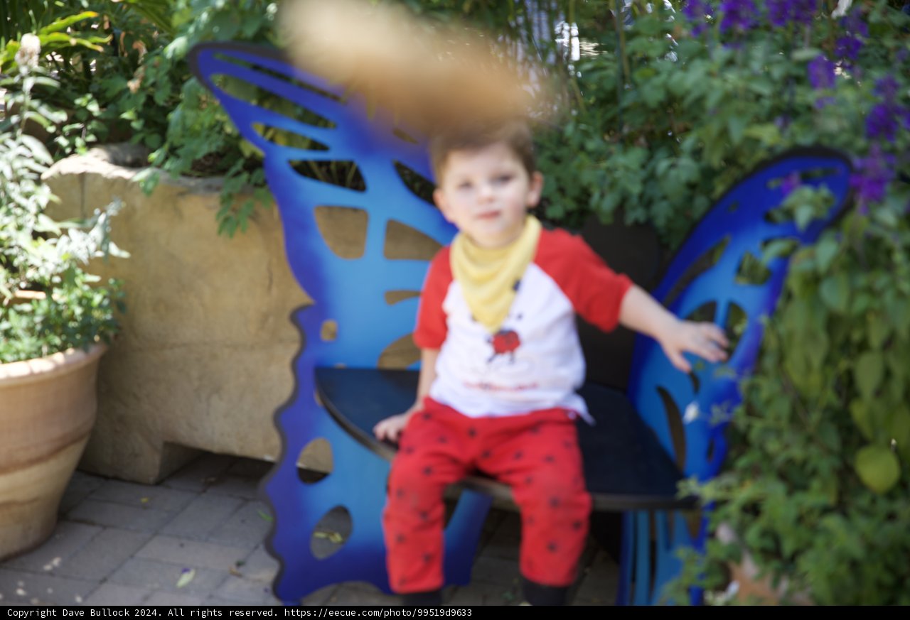 Butterfly Chair Adventures