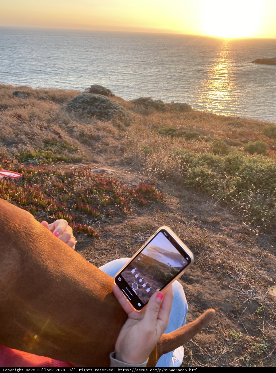 Capturing the Sunset