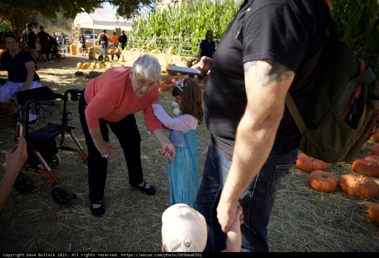 Gentle Bonds - At the Pumpkin Patch.