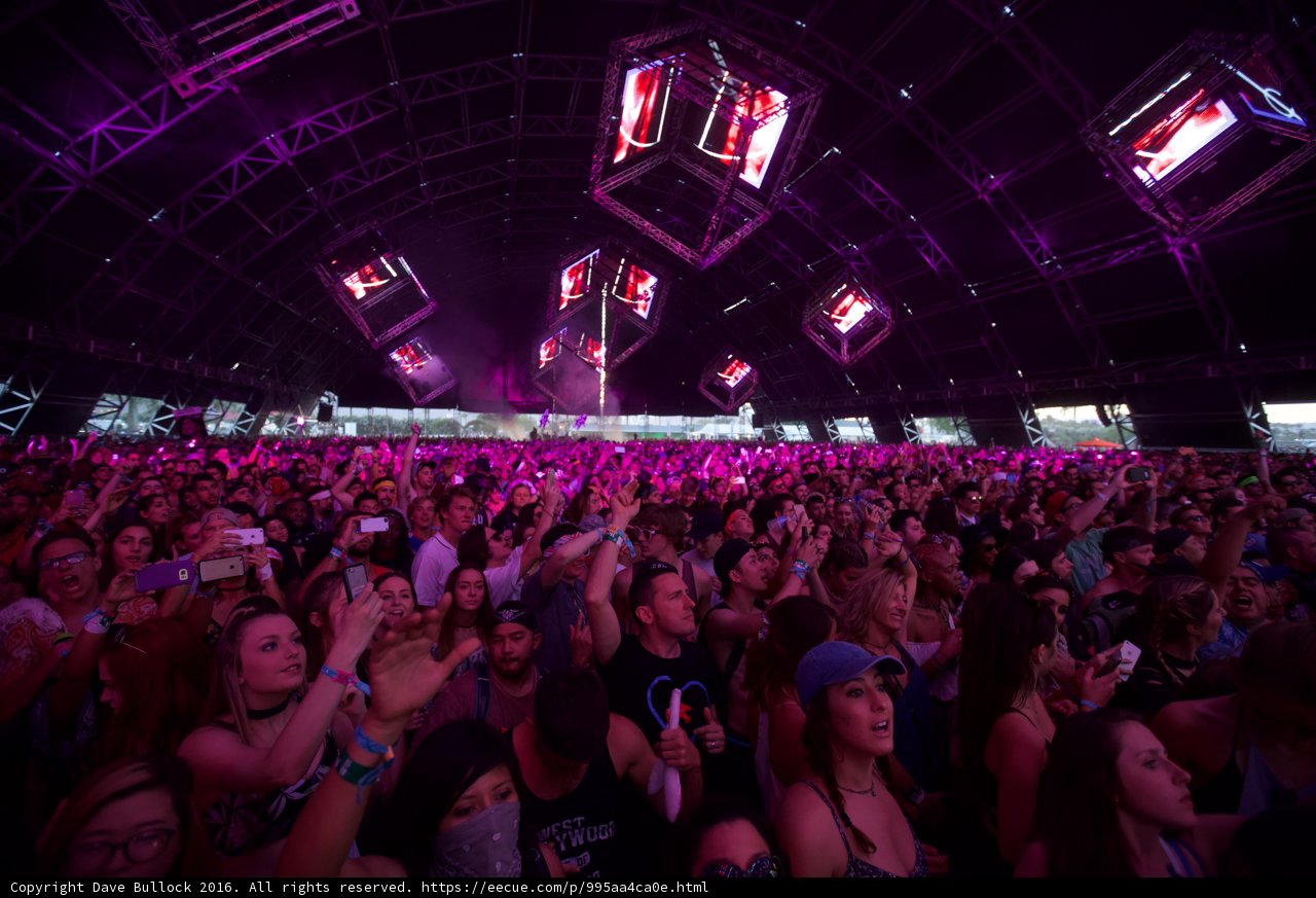 Coachella Concert Crowd Goes Wild