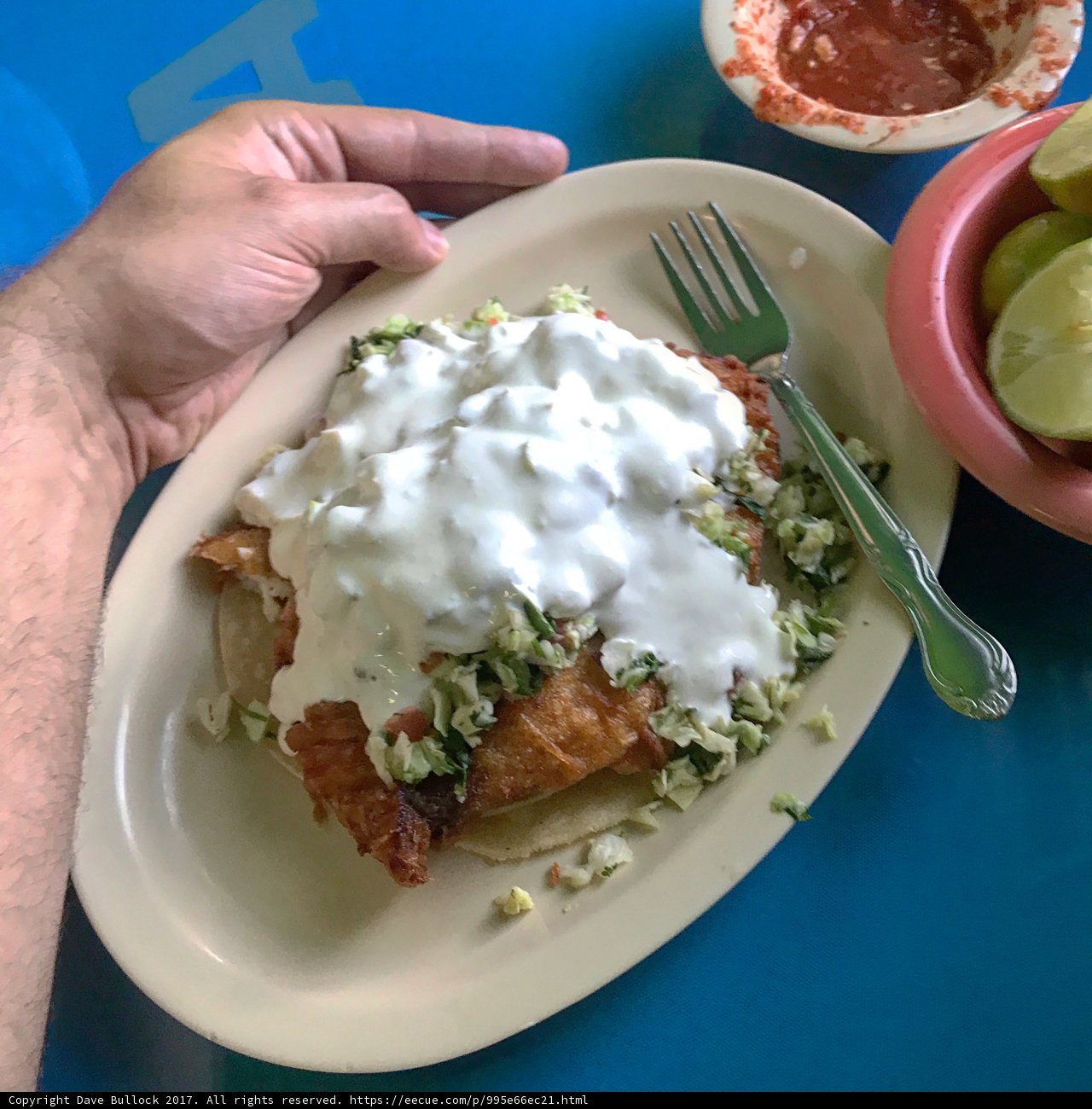 Delicious Enchiladas