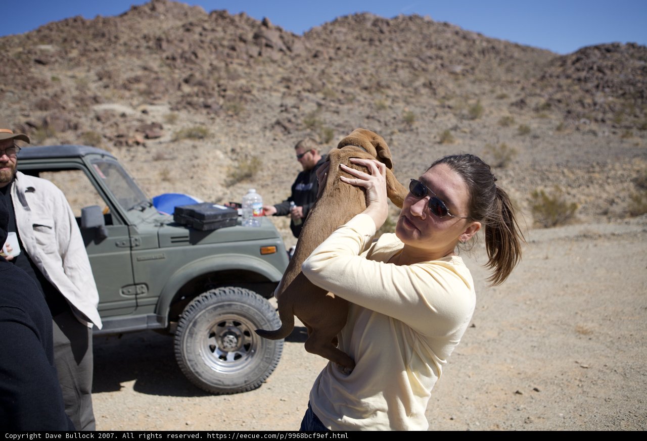 Woman and Dog in the Desert Adventure