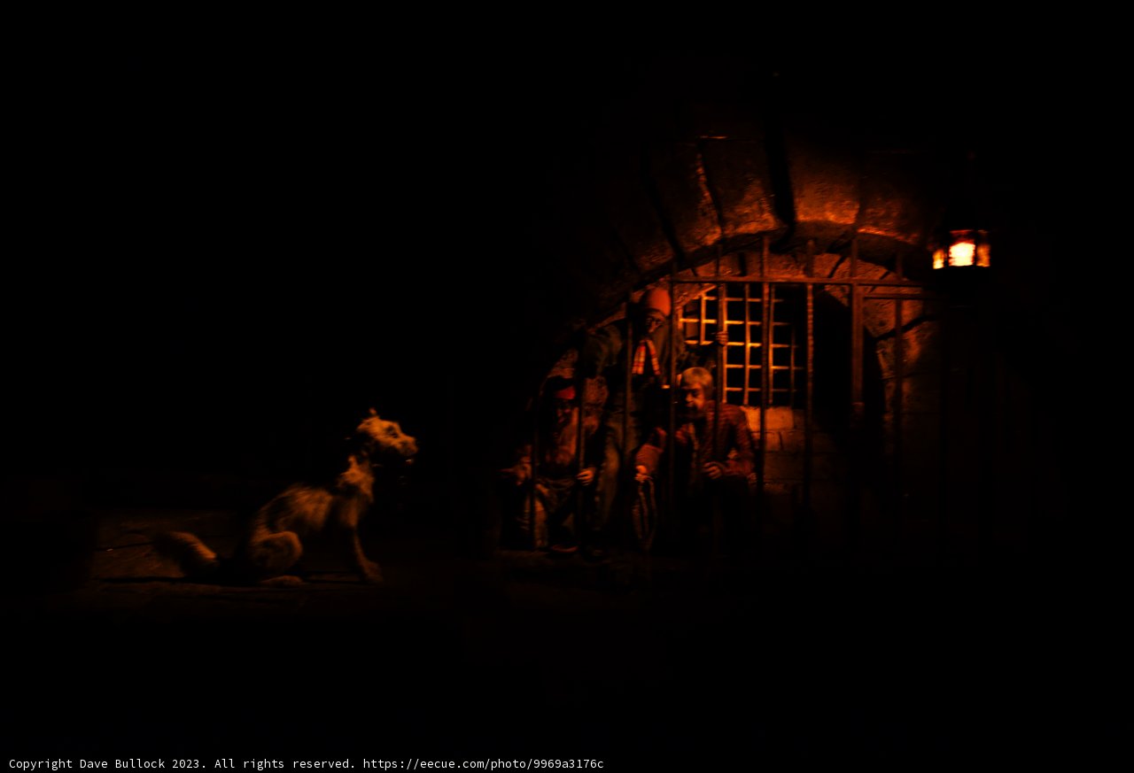 The Mysterious Nighttime Encounter