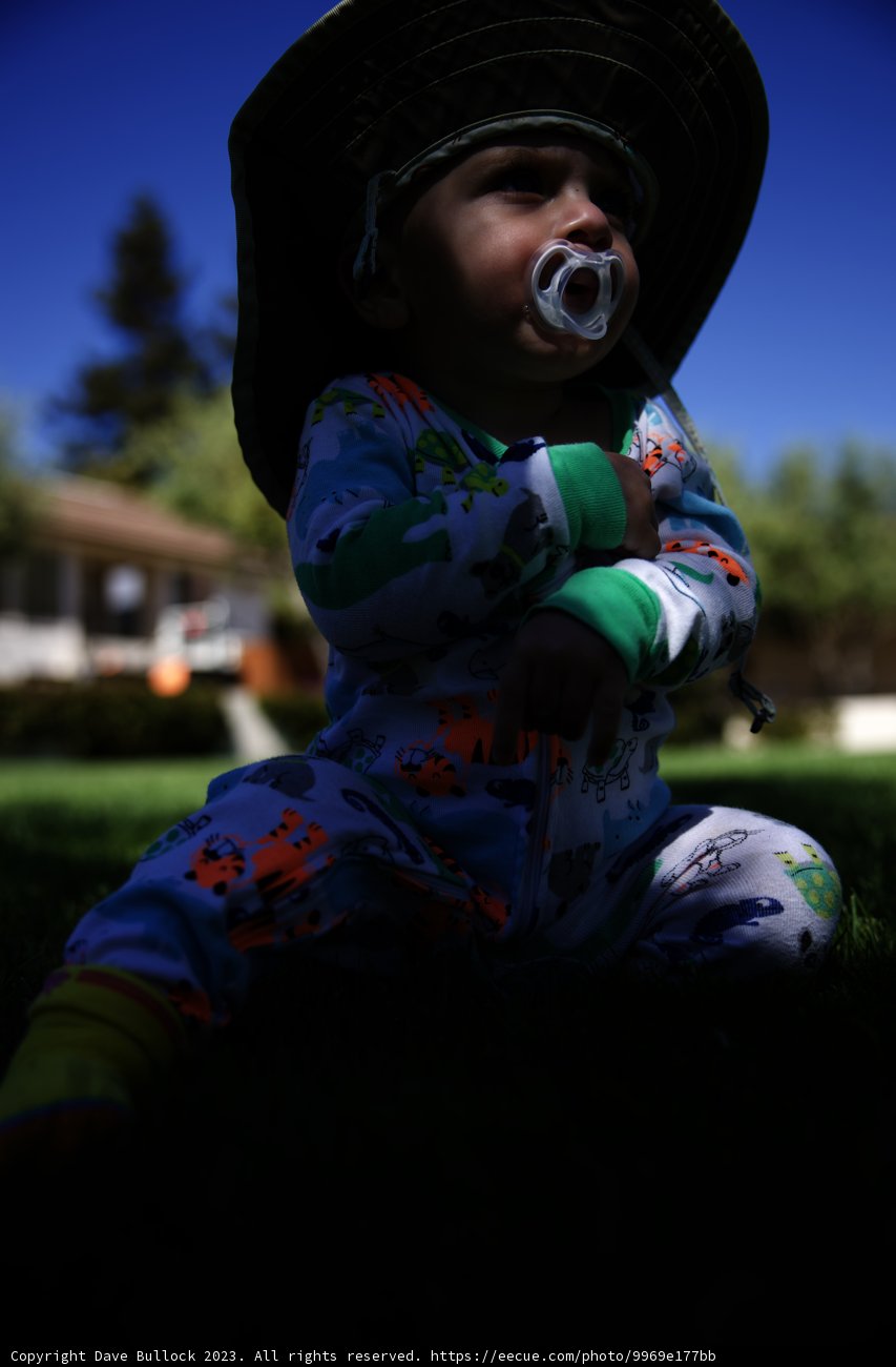 Baby's Day Out at Carmel Valley Ranch