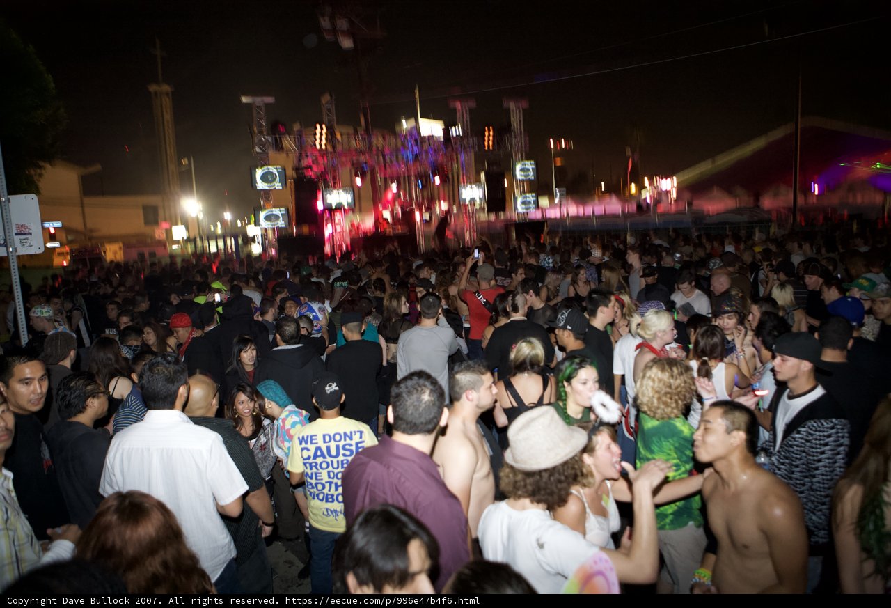 Nocturnal Festival Fun