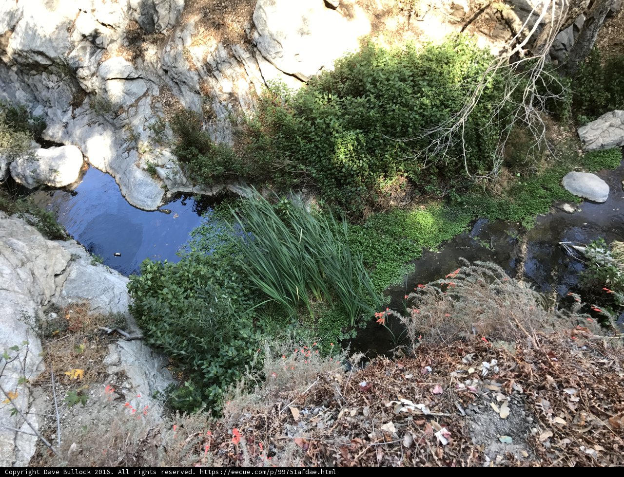 Rocky Creek in Angeles National Forest