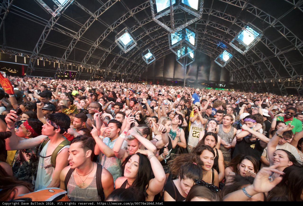 Music Fest Madness