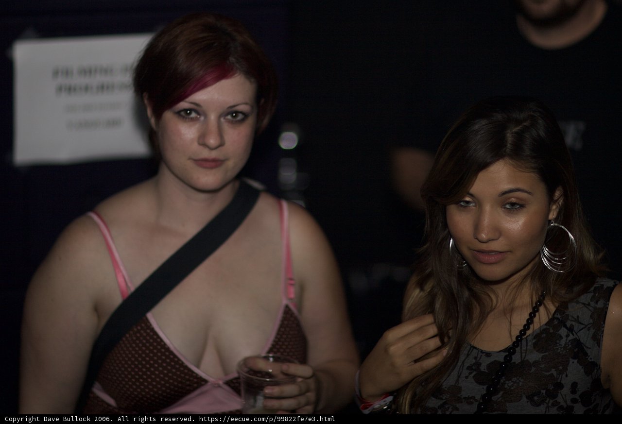 Two Women in Evening Dresses at a Party