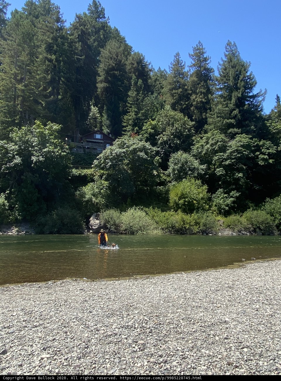 Paddling Through the Grove