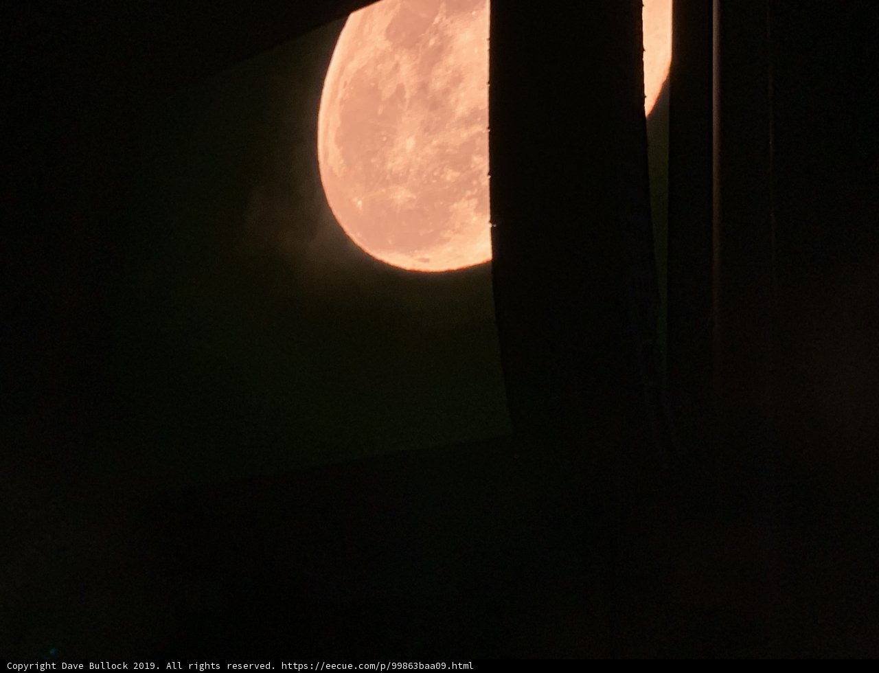 Pink Moon Over Indio
