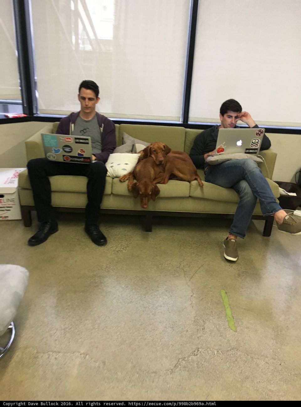 Two Men and a Dog Enjoy a Cozy Afternoon