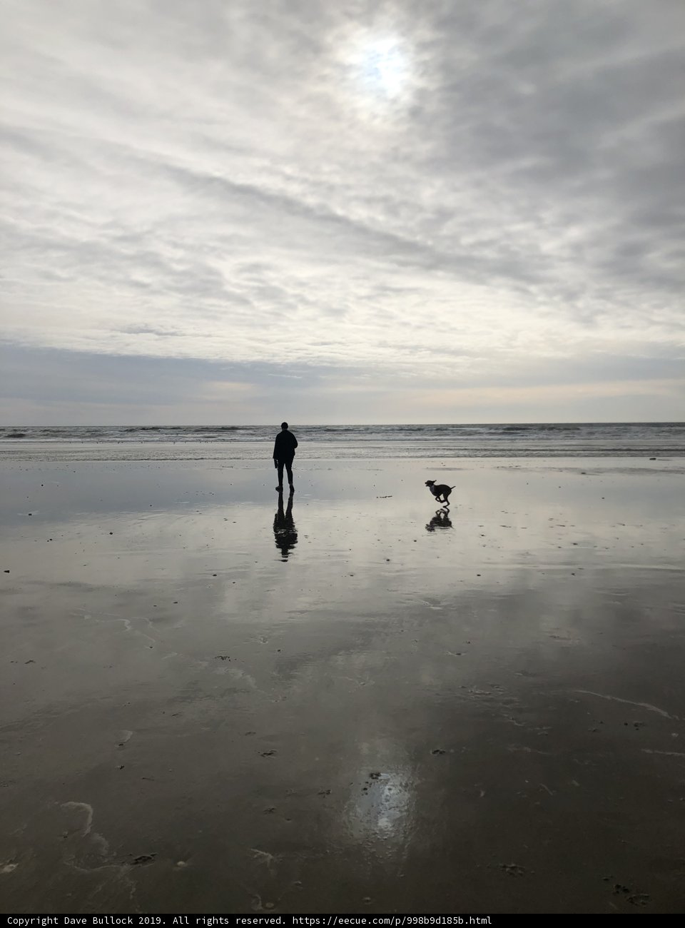 Walking Along the Shoreline