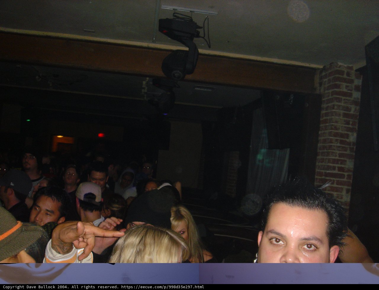 Nightclub Crowd