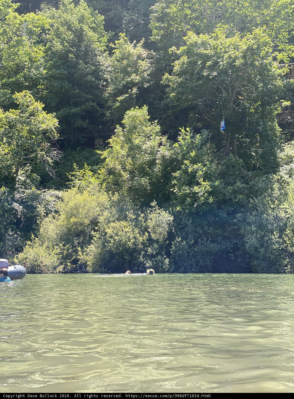 Kayaking through the Vegetation
