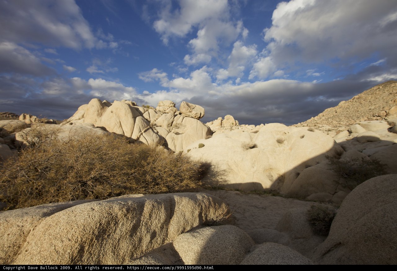 A Rocky Oasis
