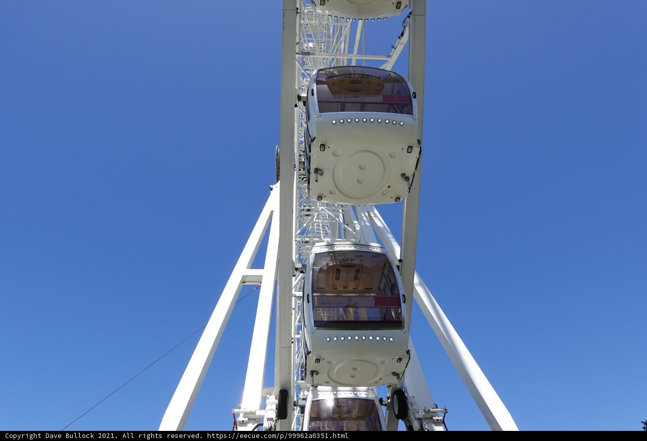 High-Flying Fun at the Amusement Park