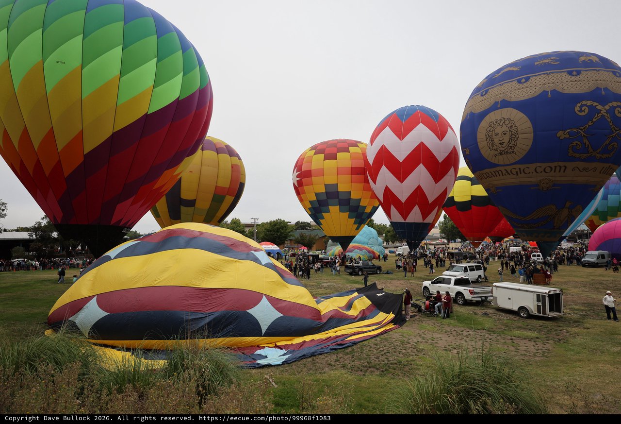 Colorful Hot Air Balloons Fill the Sky at Festival