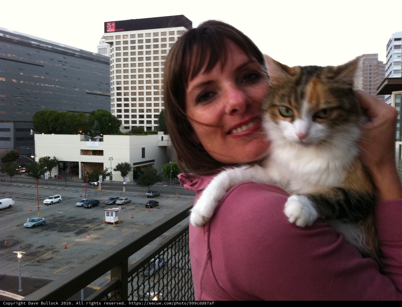 Woman and Calico Cat on Urban Balcony Selfie