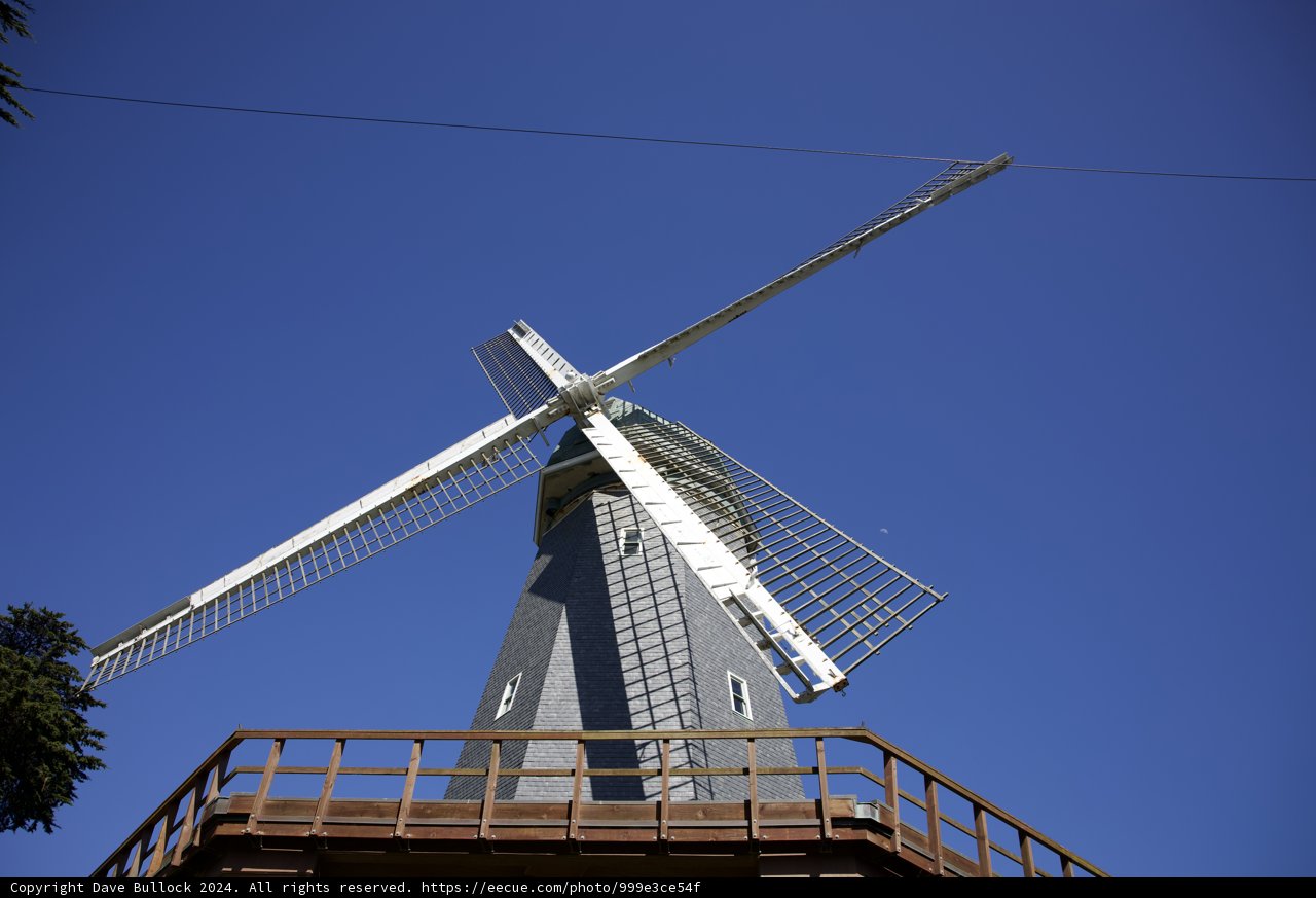 Captivating Mill at Golden Gate Park