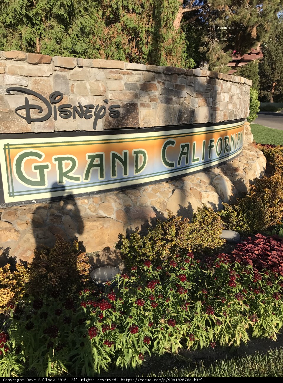 The Natural Wonderland of Disney's Grand California Resort