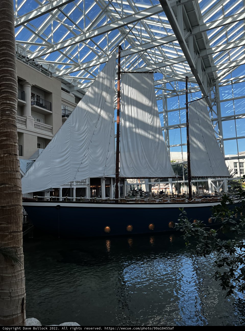 Sailboat in the City
