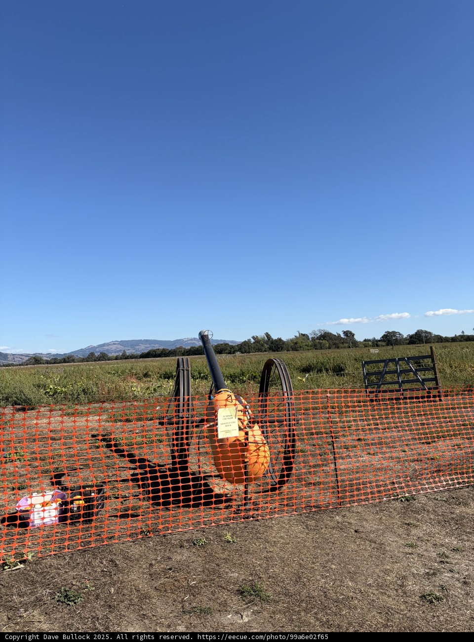 Pumpkin Cannon in the Countryside
