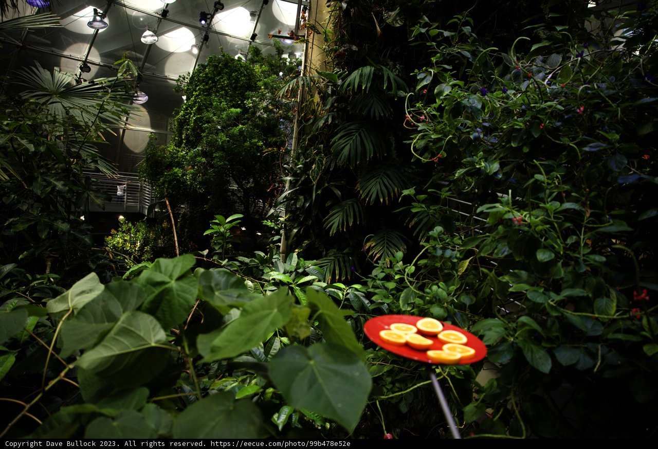 A Feast in the Heart of Nature