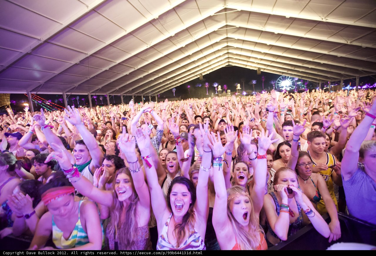 Celebrating the Night Life: A Fun Crowd at Coachella 2012