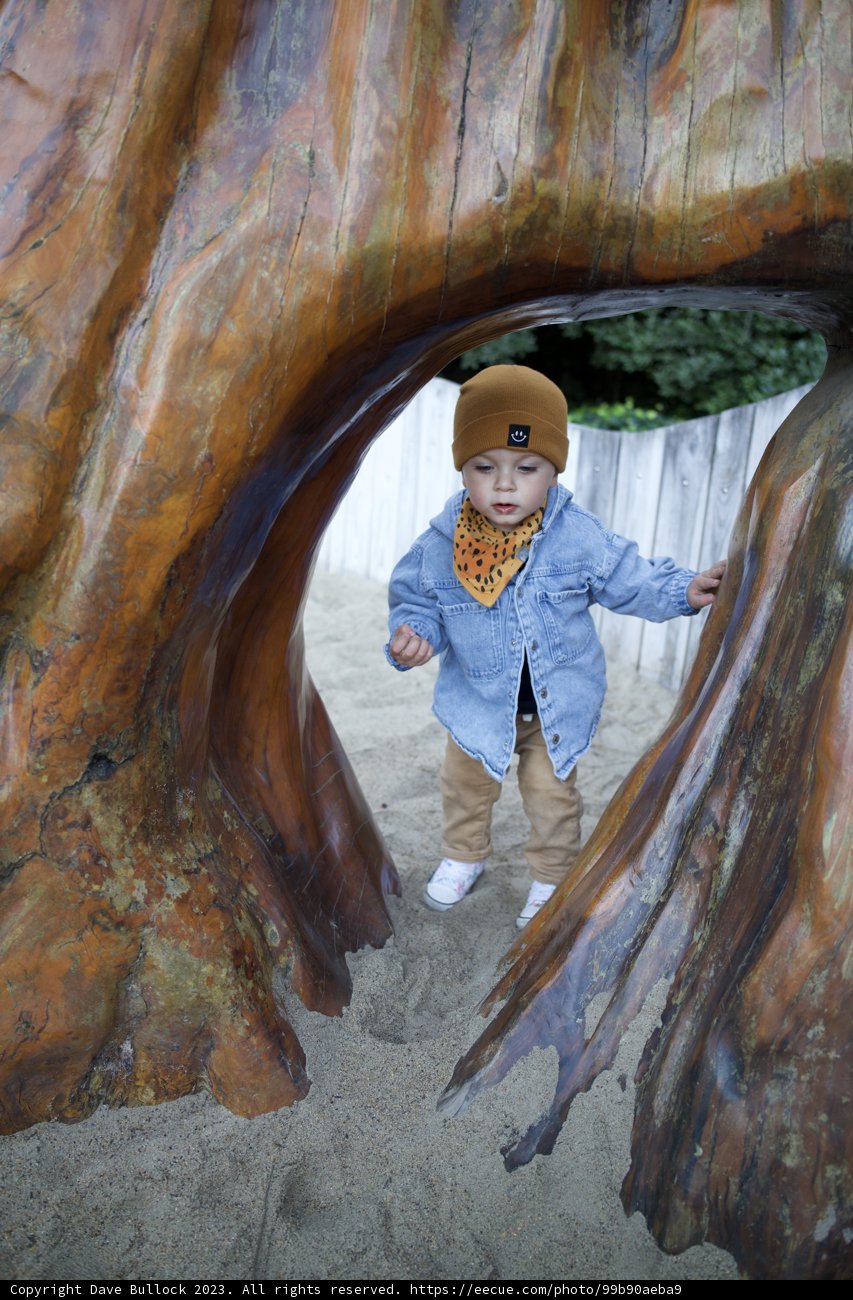 Little Adventurer