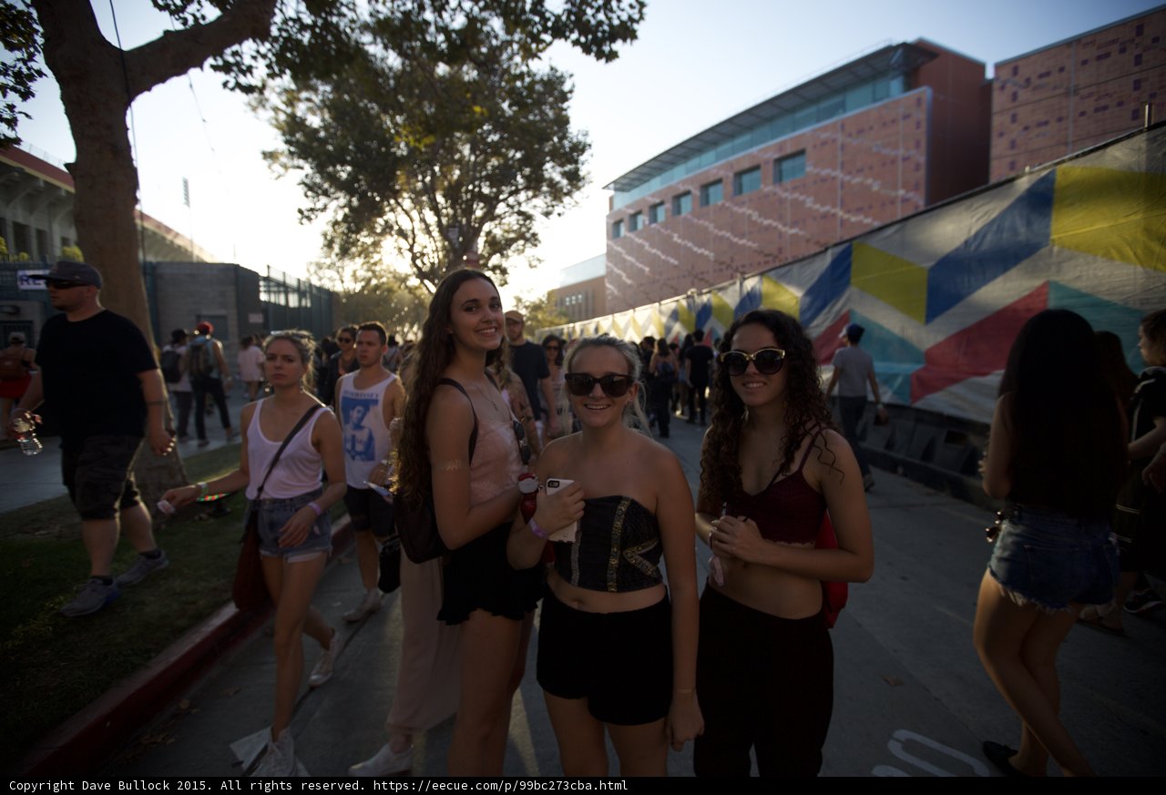 Friends at Music Festival