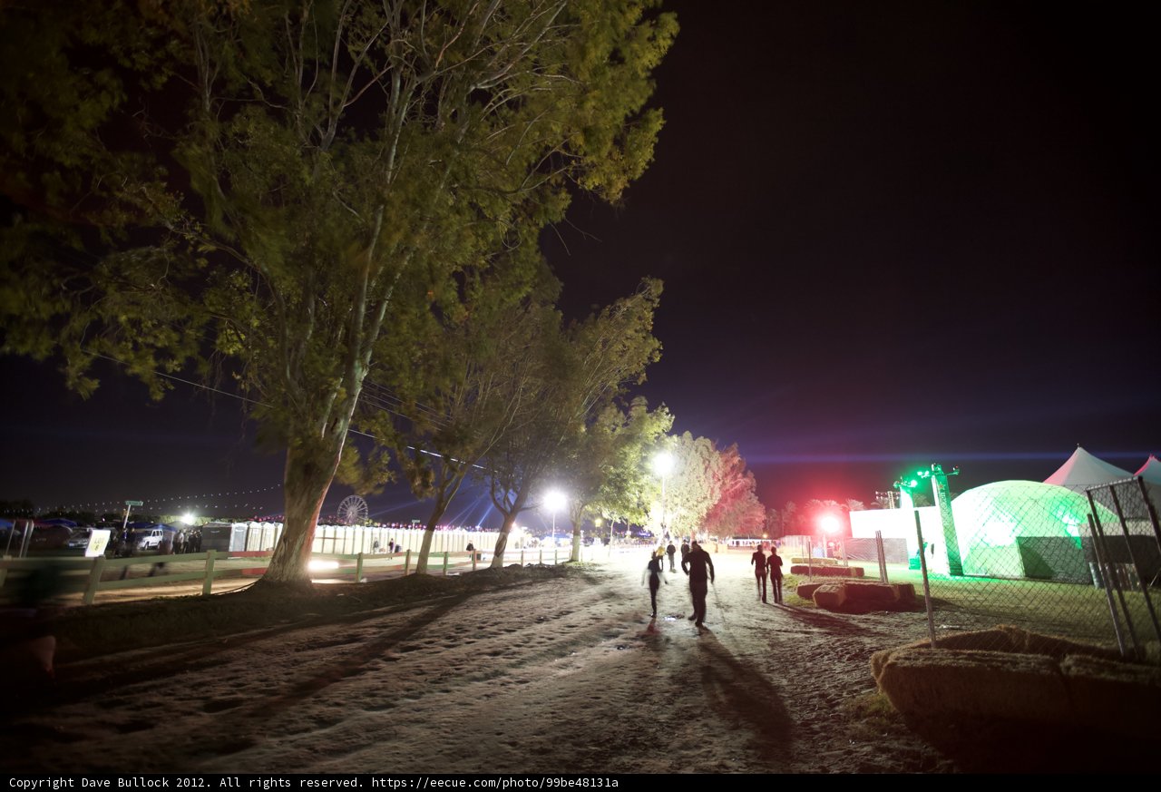 Night-time Stroll through the Illuminated Woods