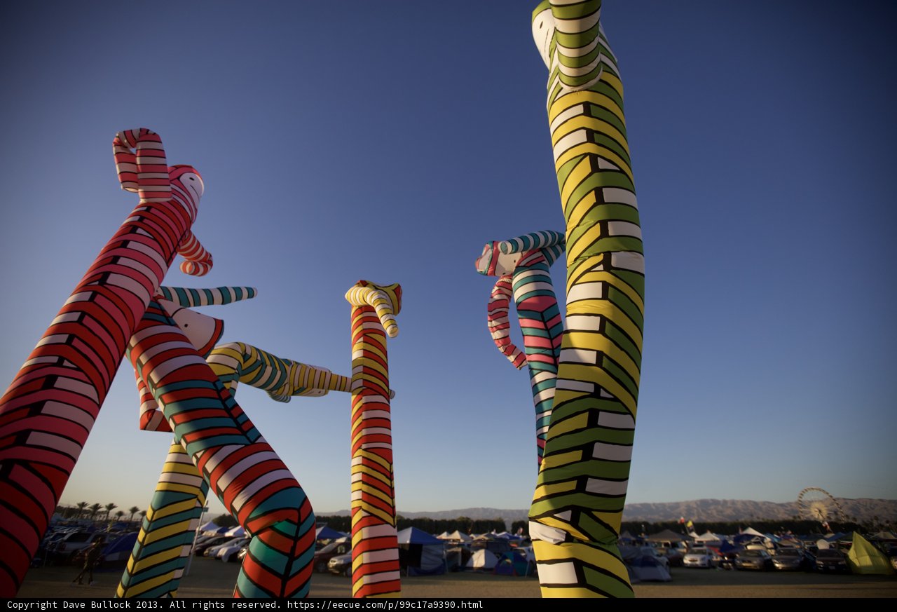 The Colorful Glimpse of Giraffes in the Field