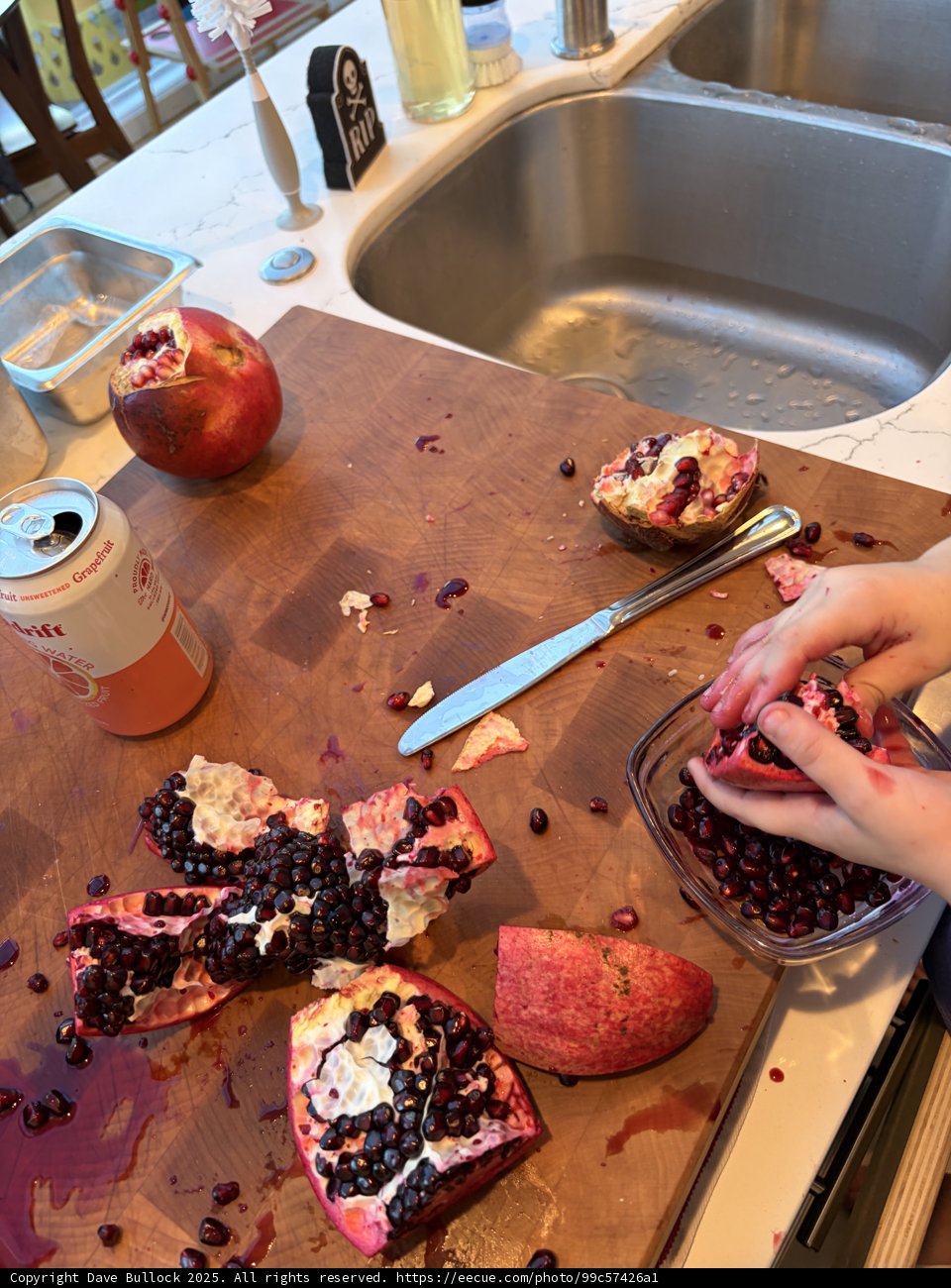 Pomegranate Playtime