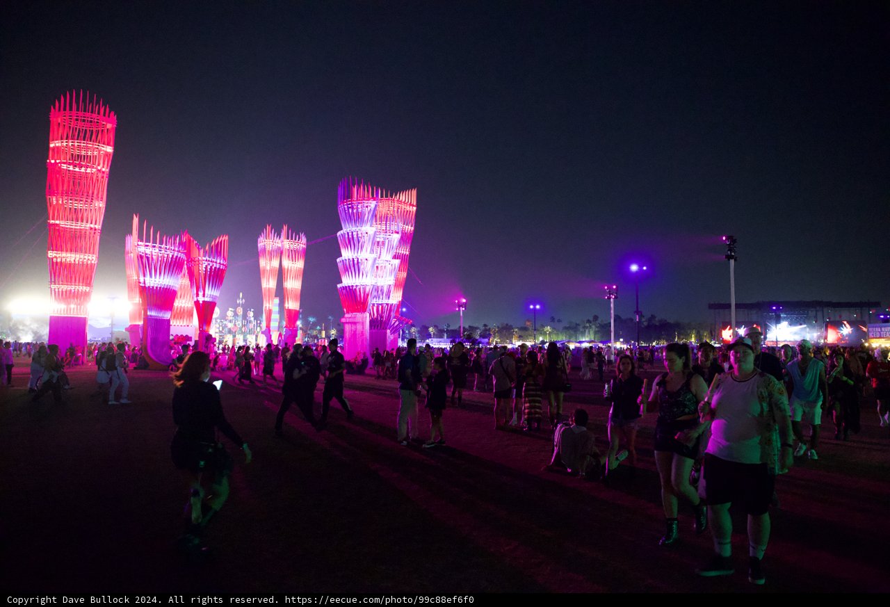 Electric Nights at Coachella 2024